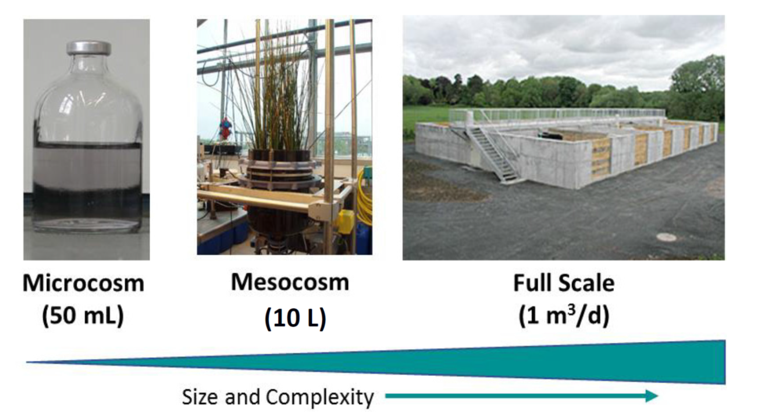 different size and complexity scales: lab microcosms (50 mL), mesocosms (10 L), and pilot-scale